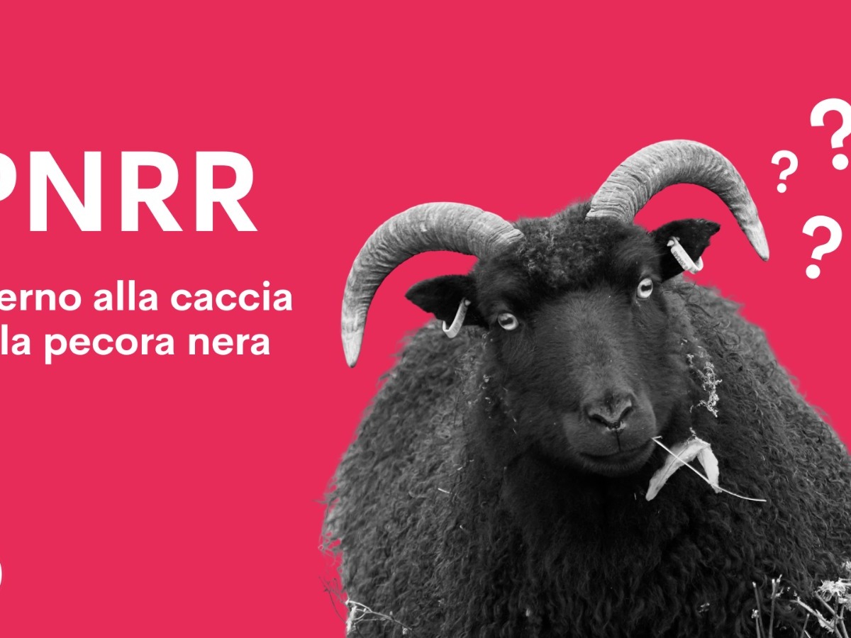 PNRR, Governo alla caccia della pecora nera